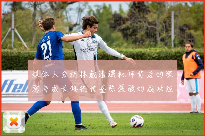媒体人分析林葳遭遇批评背后的深意与成长路径借鉴陈盈骏的成功经验