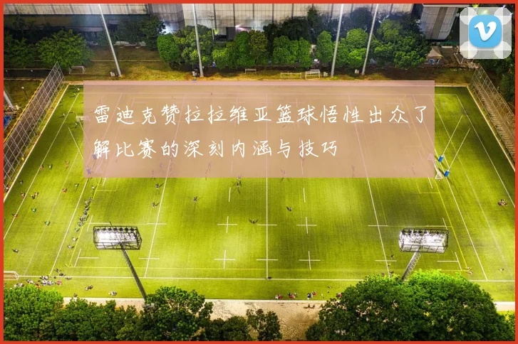 雷迪克赞拉拉维亚篮球悟性出众了解比赛的深刻内涵与技巧