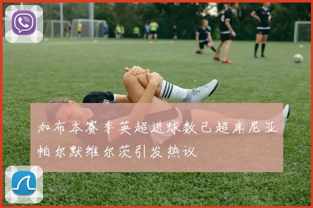 加布本赛季英超进球数已超库尼亚帕尔默维尔茨引发热议