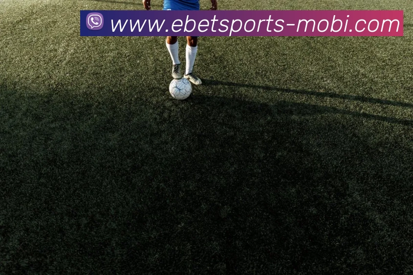 易倍体育服务体系